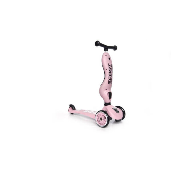 Paspirtukas - balansinis dviratis - Scoot and Ride
